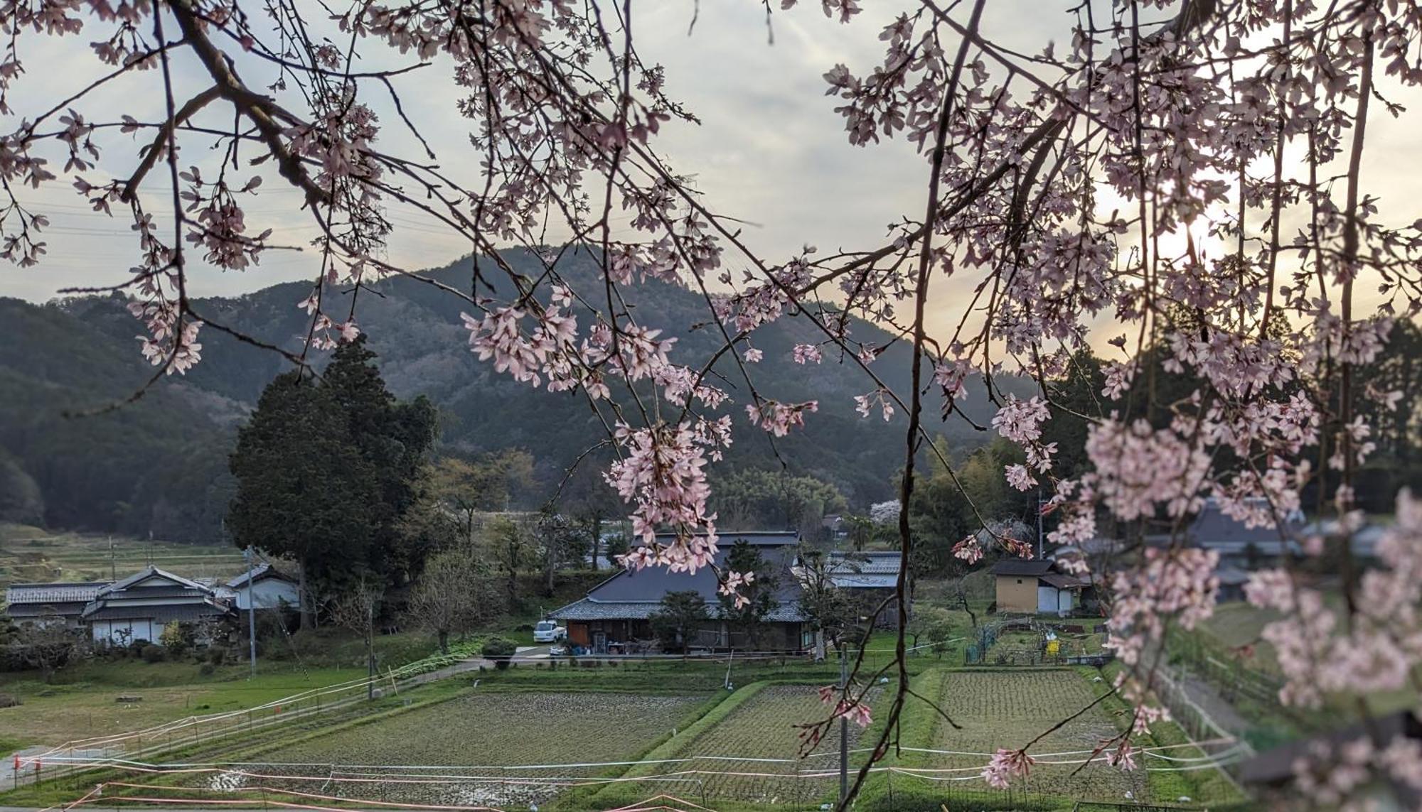 一汁一菜の宿　ちゃぶダイニング Ichiju Issai No Yado Chabu Dining Unforgettable Farmstay Experience In Deep Kyoto Ayabe Buitenkant foto