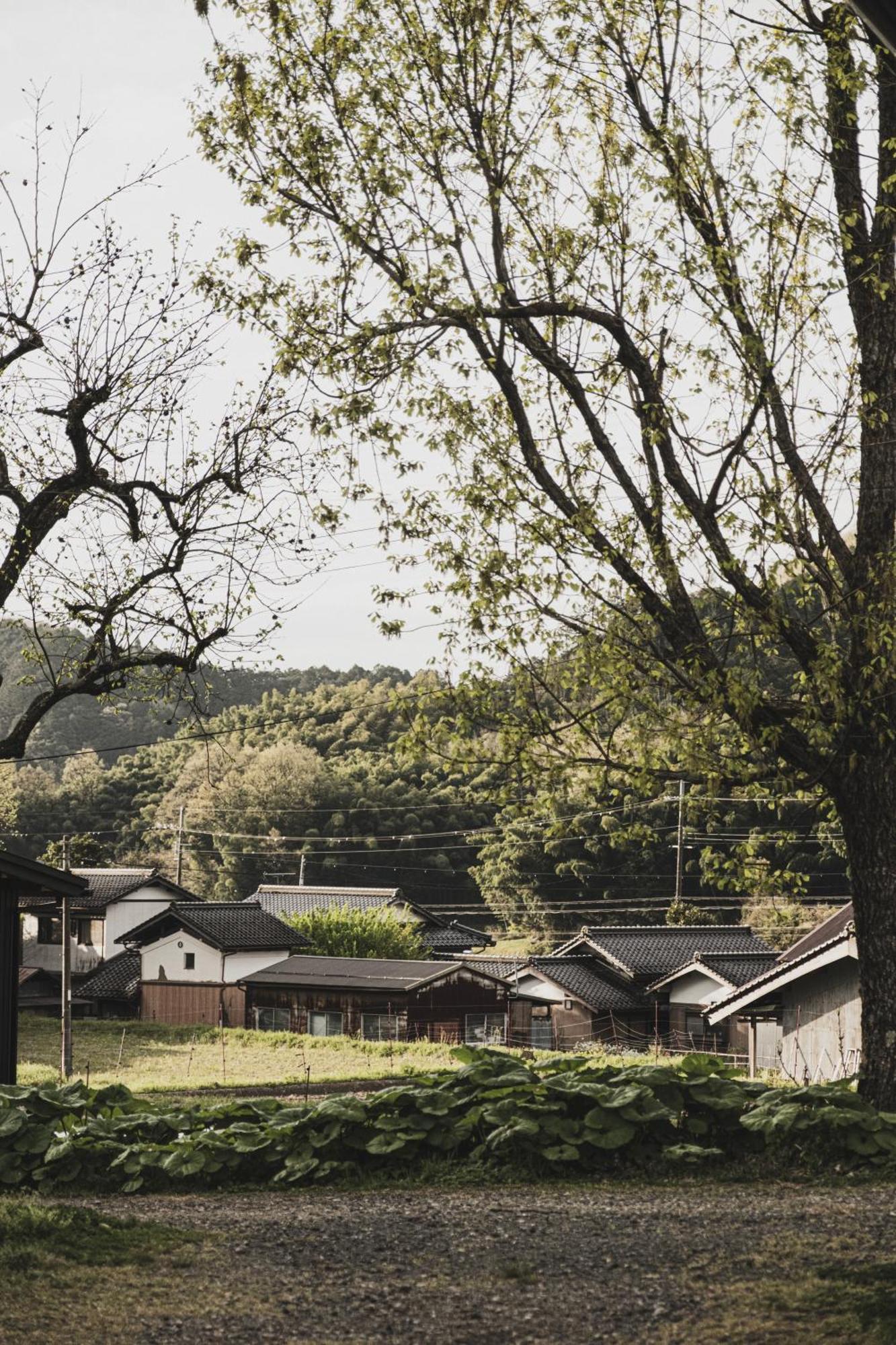 一汁一菜の宿　ちゃぶダイニング Ichiju Issai No Yado Chabu Dining Unforgettable Farmstay Experience In Deep Kyoto Ayabe Buitenkant foto